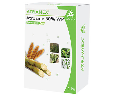 Atranex_Packshot