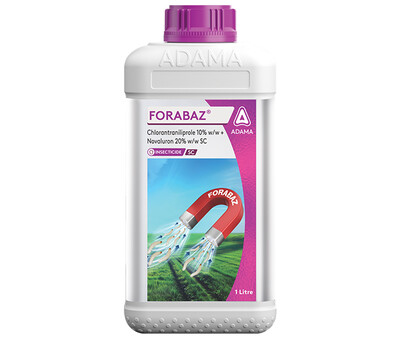 forabaz pack