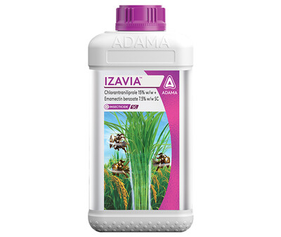 Izavia Pack