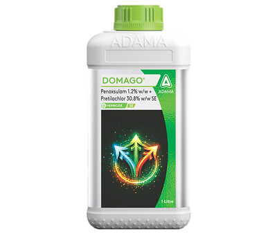 Domago