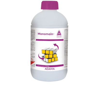 monomain