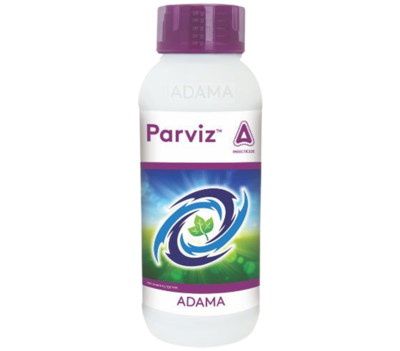 parviz