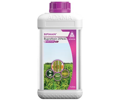 Bipimain