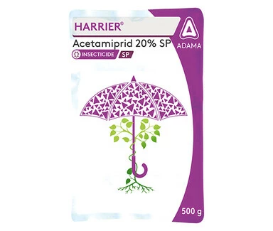 Harrier