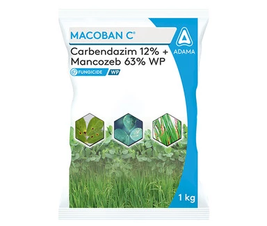 Macoban C