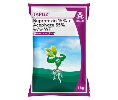 Tapuz