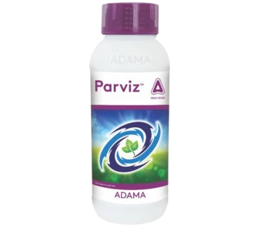 Parviz
