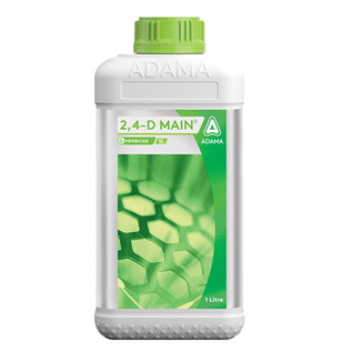 2,4-D Main