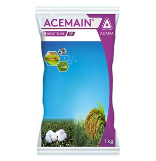 Acemain