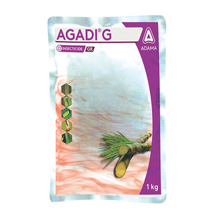 Agadi G