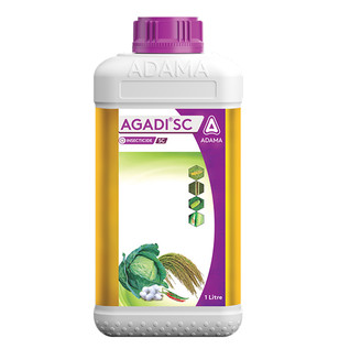 Agadi SC