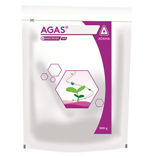 Agas