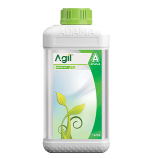 Agil Packshot