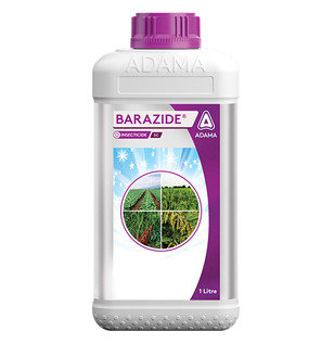 Barazide Packshot