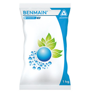 Benmain