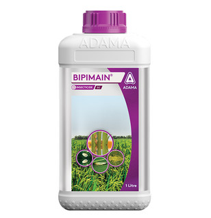 Bipimain