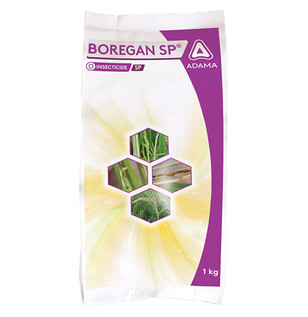 Boregan SP