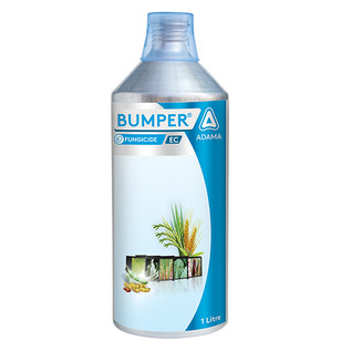Bumper