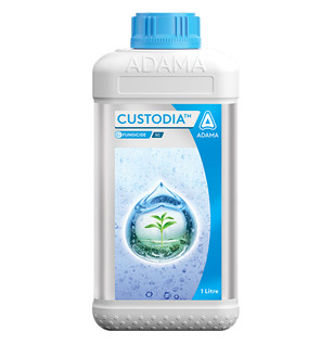 Custodia Packshot