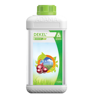 Dekel Packshot 