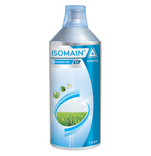 Isomain