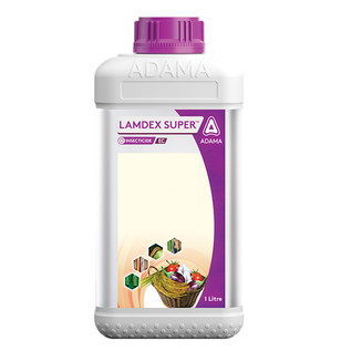 Lamdex Super