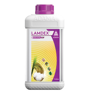 Lamdex
