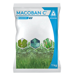 Macoban C