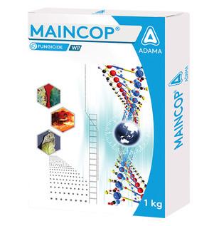 Maincop
