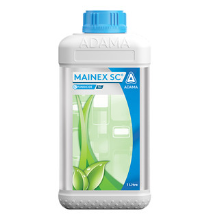Mainex SC