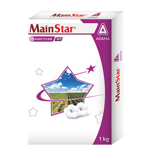 Mainstar