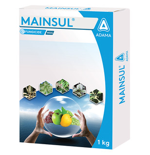 Mainsul
