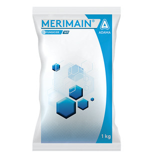 Merimain