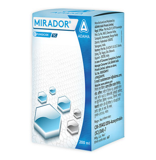 Mirador