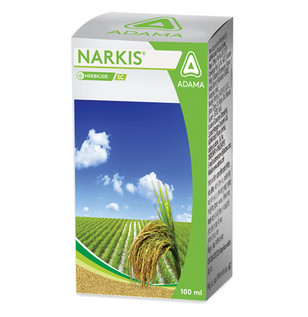 Narkis Packshot 
