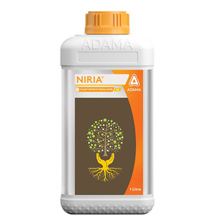 Niria Packshot