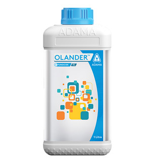 Olander