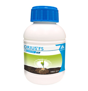 Orius FS