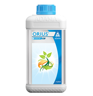 Orius
