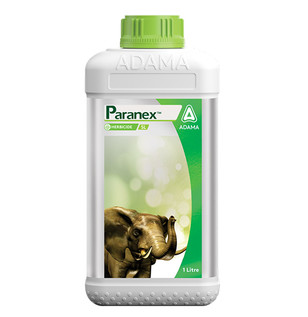 Paranex