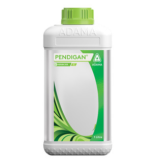 Pendigan