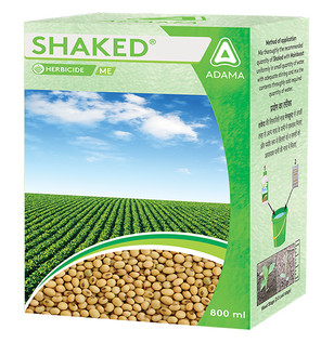 Shaked Packshot 