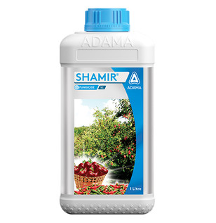 Shamir Packshot 