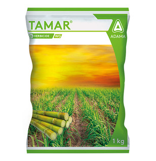 Tamar Packshot