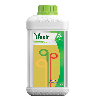 Vezir