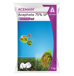 Acemain Package