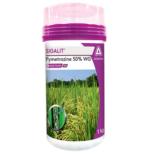 Sigalit Package