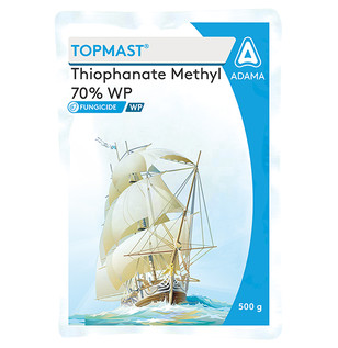 Topmast Package