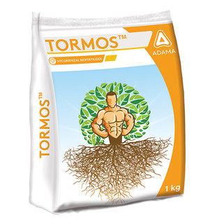 tormos package