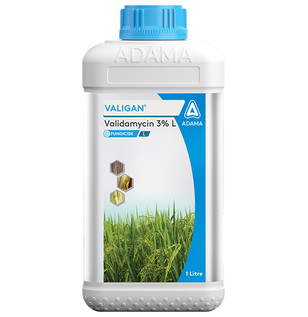 Valigan Package